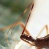 331070 – Photo : Mathurin CARNET – France (58)
